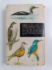 Retkeilijän lintuopas