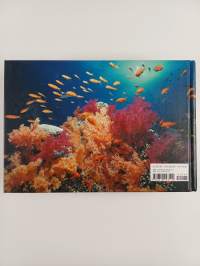 Underwater Eden - 365 Days