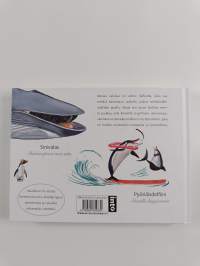 Valas, valas! Maailman viehättävin valaskirja