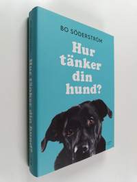 Hur tänker din hund?