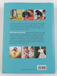 Hur tänker din hund?