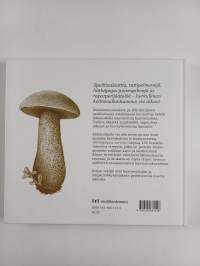 Härkäpapua sarvista : herkullista kasvisruokaa läheltä