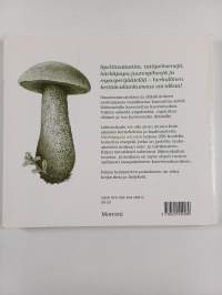 Härkäpapua sarvista : herkullista kasvisruokaa läheltä