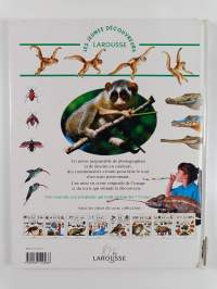 Les animaux dans la jungle