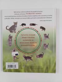 Pienestä isoksi : kissanpentu