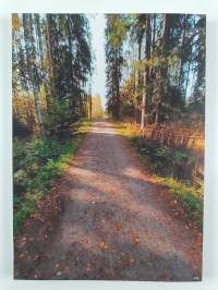 Minun polkuni, minun tieni (signeerattu, tekijän omiste)