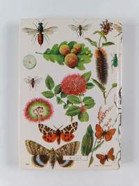 Hyönteisiä värikuvina