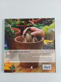 Hehkuvat sipulikukat