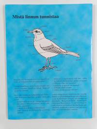 Kruu, krr-ruu : puuhaa pienille orintologeille