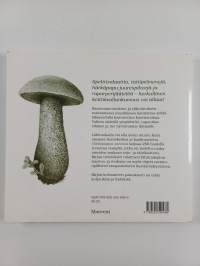 Härkäpapua sarvista : herkullista kasvisruokaa läheltä