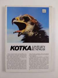 Kotka : lintujen kuningas