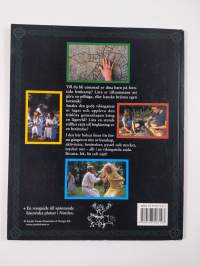 Vikingar : kring hem och härd