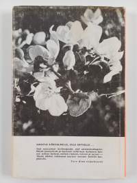 Saparo-Tuure : Ture Aran punamustasta muistojen kirjasta