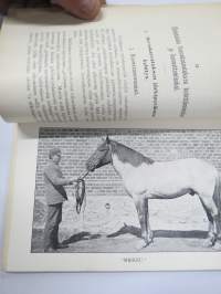 Hevoskasvatuksemme ja ehdotuksia sen kohottamiseksi