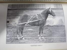 Hevoskasvatuksemme ja ehdotuksia sen kohottamiseksi