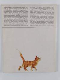 Tänä päivänä : Suuret asiat lapsuuden arjessa