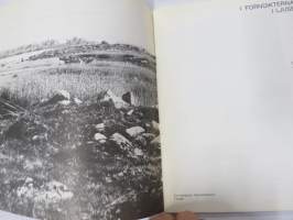 Kalevala-Koru 1835-1985