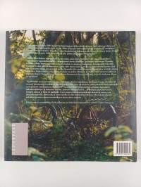 Lupaus : kirja elokuvasta ja elokuvaksi kirjoittamisesta (signeerattu, tekijän omiste)