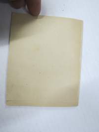 Lyhykäinen Osoitus Metsän hoitoon (v. 1860)