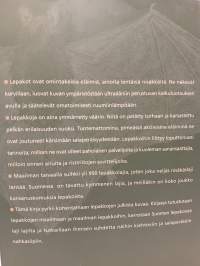 Lepakot, salaperäiset nahkasiivet