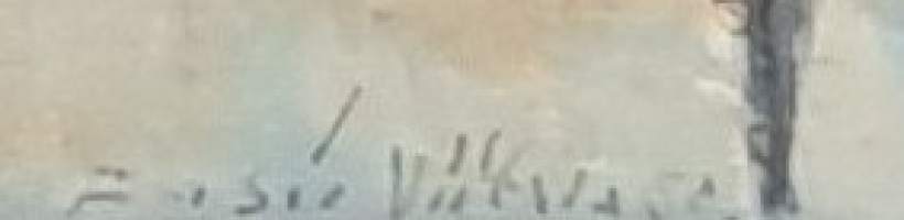 Ensiö Viitala  öljy kankaalle kehystetty koko 40x52