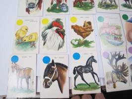 Eläinpeli / Djurspelet - Paletti 2387 -pelikortit