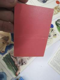 Eläinpeli / Djurspelet - Paletti 2387 -pelikortit