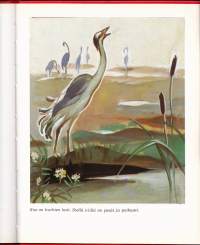 Metsänväen suojatti, 1986. 3.p. Martta Wendelinin kuvittama satukirja.