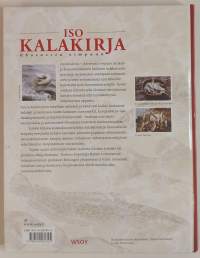 Iso kalakirja - ahvenasta vimpaan. (Kalastus, kalat)