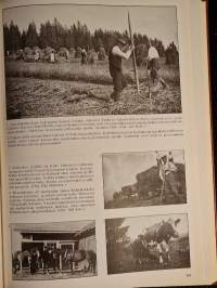 Perinnealbumi Pirkanmaa 1 Hämeenkyrö Ikaalinen Juupajoki Kangasala Kuhmalahti Kuorevesi Kuru Kylmäkoski Lempäälä Luopioinen Längelmäki Mouhijärvi Mänttä NokiaOrivesi