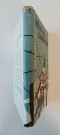 Päämajan kaukopartio