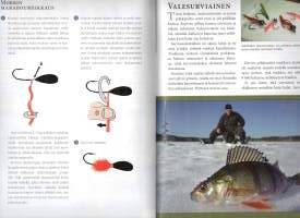 Perhokalastus  -Hauskoja ja helppoja perhonsidontavinkkejä