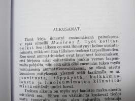 Maalaus I - Työohjeita kotien ja ammattiopetuksen tarpeiksi -näköispainos