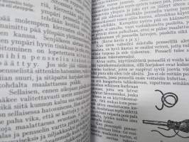 Maalaus I - Työohjeita kotien ja ammattiopetuksen tarpeiksi -näköispainos