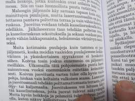 Maalaus I - Työohjeita kotien ja ammattiopetuksen tarpeiksi -näköispainos