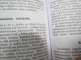 Maalaus I - Työohjeita kotien ja ammattiopetuksen tarpeiksi -näköispainos