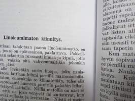 Maalaus I - Työohjeita kotien ja ammattiopetuksen tarpeiksi -näköispainos