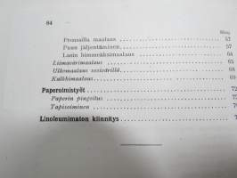 Maalaus I - Työohjeita kotien ja ammattiopetuksen tarpeiksi -näköispainos