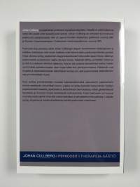 Psykoosit : kokoava näkökulma