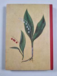 Kasvioppi oppikouluja ja seminaareja varten