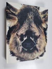 Revelations : the 11 years of Taivas