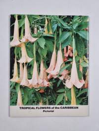 Tropical Flowers of the Caribbean