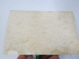 Insinöörineidit? -valokuva