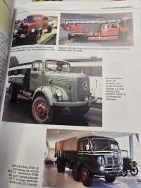 Piikkinokasta bulldogiin