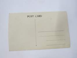 Tyttö ja ateljeehevonen -valokuva