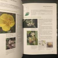 Kasvibongarin opas : Kukat ja niiden hedelmät