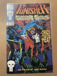 The Punisher  1 Aug 1991  -comics