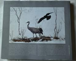 Lintujen Oulu = Birds of Oulu Region