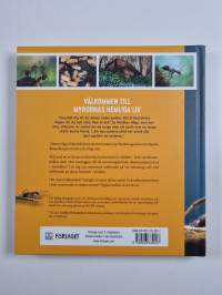 Myrornas hemliga liv