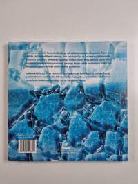 Opas vastavalmistuneelle kuvataiteilijalle